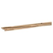 Gardeners Blue Ribbon Plant Stake, 5 ft L, Bamboo, Natural BB5N